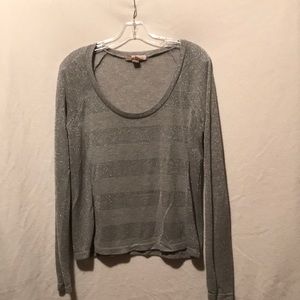 Lightweight Sheer silver metallic top.